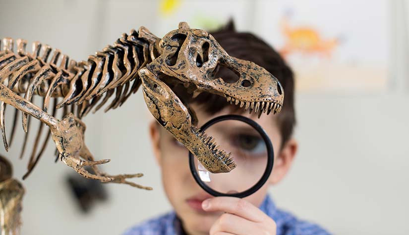Dinosaur Bones in Our Backyard - Academy Ford Blog