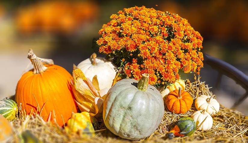 The Best 2023 Events to Attend with Your Ford