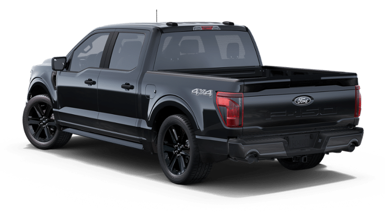 2025 Ford F-150 STX LOBO
